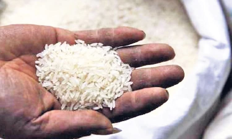 Paddy ಇಳುವರಿ ಕುಸಿತ? ತುಂಗಭದ್ರಾ,ಕಾವೇರಿ ತೀರದಲ್ಲಿ ನೀರಿಲ್ಲದೆ ಭತ್ತ ಬೆಳೆಗೆ ಸಂಕಷ್ಟ