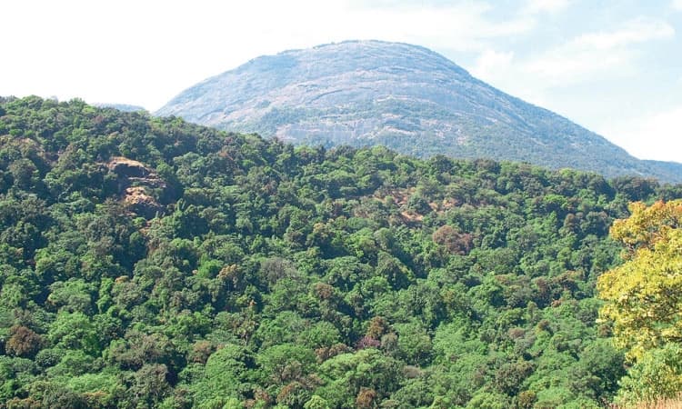 Heavy rain; ಮೂರೇ ದಿನಗಳಲ್ಲಿ ಸ್ಥಗಿತ: ಕುಮಾರಪರ್ವತ ಚಾರಣಕ್ಕೆ ನಿರ್ಬಂಧ