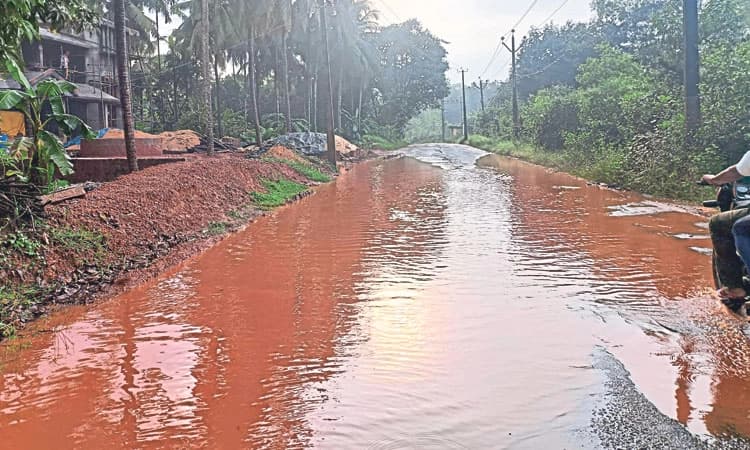 Rain ಕರಾವಳಿಯಲ್ಲಿ ಮುಂದುವರಿದ ಮಳೆ