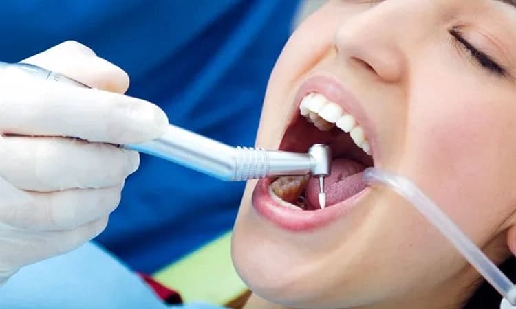 Dental Care: ದಂತ ವೈದ್ಯಕೀಯ ಆರೈಕೆ ತ್ರೈಮಾಸಿಕ ತಪಾಸಣೆ ಯಾಕೆ ಮುಖ್ಯ