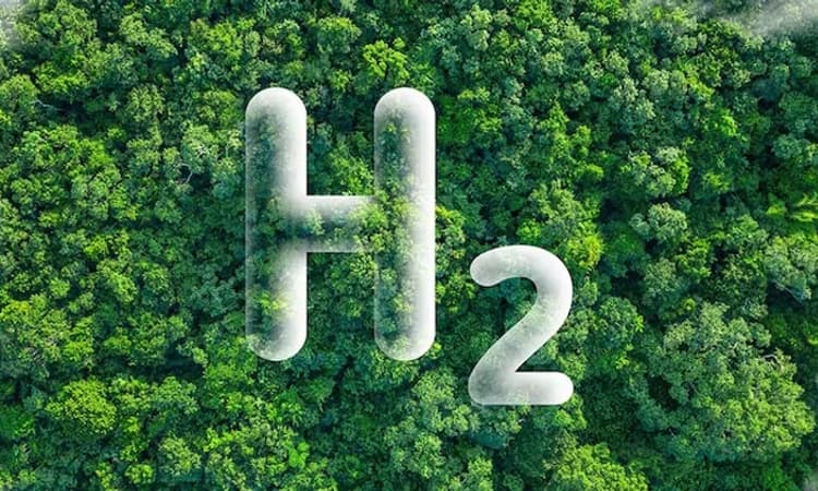 ಮಂಗಳೂರಿನಲ್ಲಿ ಹಸುರು ಹೈಡ್ರೋಜನ್‌ ಘಟಕ?- ವಿವಿಧ ಕಂಪೆನಿಗಳ ಆಸಕ್ತಿ; NMPA ಸನಿಹ ಸರ್ವೇ