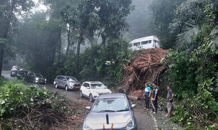 Charmadi Ghat ; ಬೃಹತ್ ಮರ ಬಿದ್ದು ಮೂರು ಗಂಟೆ ಸಂಚಾರ ಸ್ಥಗಿತ