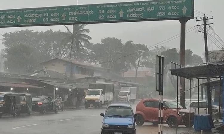 Kottigehara: ಧಾರಾಕಾರ ಮಳೆ, ಹೈರಾಣಾದ ರೈತರು