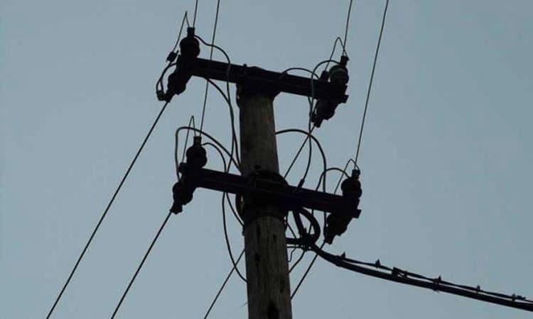 Tragedy: ಹೆಮ್ಮಾಡಿಯಲ್ಲಿ ತುಂಡಾದ ವಿದ್ಯುತ್‌ ತಂತಿ ತಗುಲಿ ದಂಪತಿ ದುರ್ಮರಣ