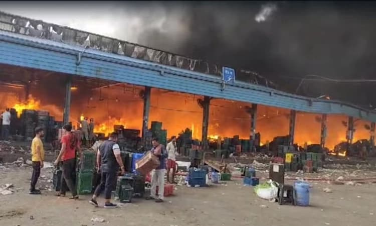 Delhi: ಏಷ್ಯಾದಲ್ಲೇ ಅತಿದೊಡ್ಡ ಹಣ್ಣು ಮತ್ತು ತರಕಾರಿ ಮಾರುಕಟ್ಟೆಯಲ್ಲಿ ಭಾರೀ ಬೆಂಕಿ