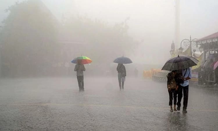 Rain;ಉಡುಪಿ, ಉ.ಕ ಜಿಲ್ಲೆಗೆ ಆರೆಂಜ್, ದ.ಕ‌ ಜಿಲ್ಲೆಗೆ ಯೆಲ್ಲೊ ಅಲರ್ಟ್; ‌ಭಾರಿ ಮಳೆ ಸಾಧ್ಯತೆ