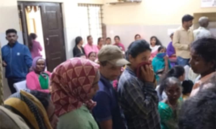 Mudigere; ಎಸ್ಟೇಟ್ ನಲ್ಲಿ ಹೆಜ್ಜೇನು ದಾಳಿ:10 ಕ್ಕೂ ಹೆಚ್ಚು ಮಂದಿ ಅಸ್ವಸ್ಥ