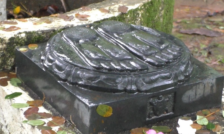 World Tourism Day 2023: ನಾರಾವಿಯಲ್ಲಿದೆ “24 ತೀರ್ಥಂಕರ ಪವಿತ್ರ ವನ”