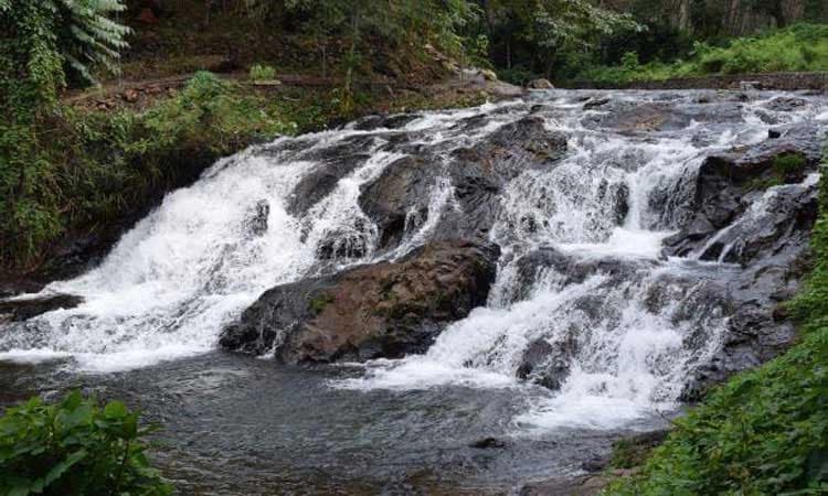 World Tourism Day 2023: ಹಸಿರಿನ ಮಡಿಲಲ್ಲಿ ಮೈದುಂಬಿ ಹರಿಯುತ್ತಿದೆ ಚಾಮಡ್ಕ ಜಲಪಾತ