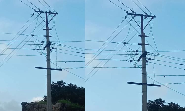 Kustagi: ವಿದ್ಯುತ್ ಸಂಪರ್ಕದ ವೇಳೆ ಎಡವಟ್ಟು: ಹಲವು ಮನೆಯ ವಿದ್ಯುತ್ ಉಪಕರಣಗಳಿಗೆ ಹಾನಿ