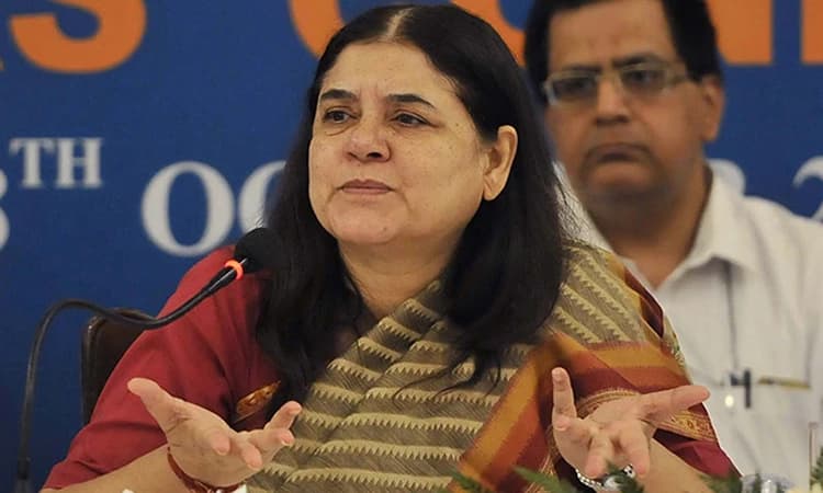 ISKCON: ಗೋರಕ್ಷಣೆ ಹೆಸರಲ್ಲಿ ಇಸ್ಕಾನ್ ಗೋವುಗಳನ್ನು ಕಟುಕರಿಗೆ ಮಾರುತ್ತಿದೆ… ಮನೇಕಾ ಗಾಂಧಿ