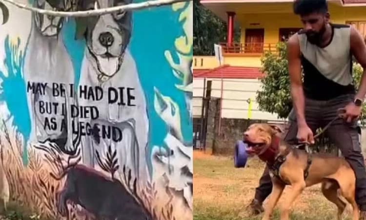 Kerala: ಪೊಲೀಸರ ಮೇಲೆ ಅಟ್ಯಾಕ್‌ ಮಾಡಲು ನಾಯಿಗಳಿಗೆ ತರಬೇತಿ ನೀಡಿದ್ದ ಗಾಂಜಾ ಡೀಲರ್!