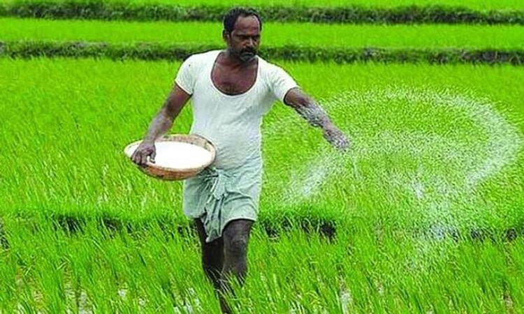 Urea: ಜಿಲ್ಲಾದ್ಯಂತ ಯೂರಿಯಾಗೆ ಭಾರೀ ಡಿಮ್ಯಾಂಡ್‌!