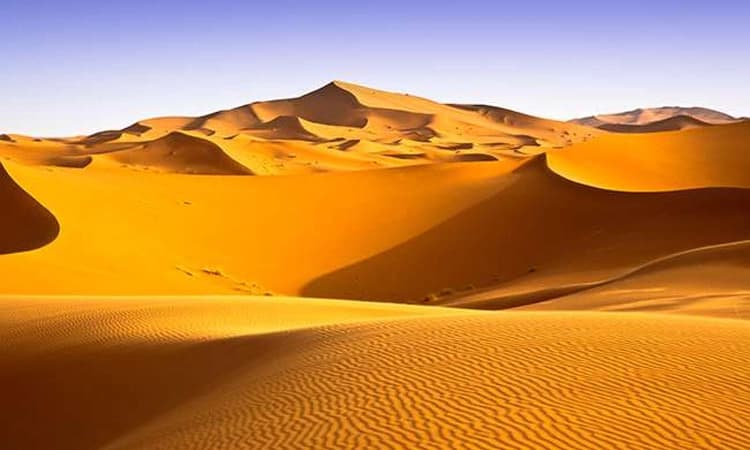 Sahara: 8 ಲಕ್ಷ ವರ್ಷಗಳ ಹಿಂದೆ ಹಚ್ಚ ಹಸಿರಿನಿಂದ ಕೂಡಿದ್ದ ಸಹಾರಾ ಮರುಭೂಮಿ!