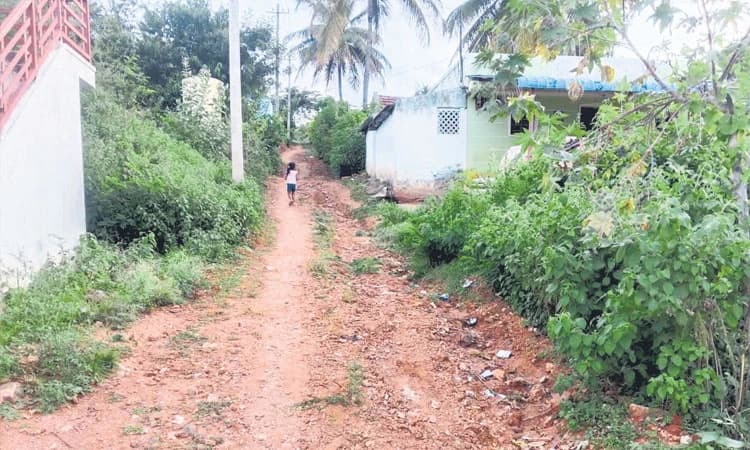 Lack of facilities: ಸೌಲಭ್ಯಗಳೇ ಇಲ್ಲದ ಜಕ್ಕಳ್ಳಿ ಸ್ಥಿತಿ ಶೋಚನೀಯ