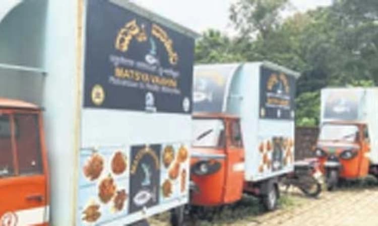 Sullia; ಮಳೆ, ಬಿಸಿಲಿಗೆ ನಲುಗುತ್ತಿದೆ ಮತ್ಸ್ಯ ವಾಹಿನಿ