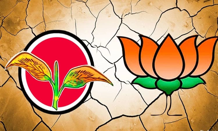 BJP ಜತೆಗಿನ ಮೈತ್ರಿಯಲ್ಲಿ ತೊಂದರೆ ಇಲ್ಲ: ಎಐಎಡಿಎಂಕೆ