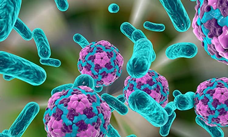 Hepatitis A; ಮಕ್ಕಳಲ್ಲಿ ಹೆಚ್ಚುತ್ತಿವೆ ಹೆಪಟೈಟಿಸ್ ಎ ಪ್ರಕರಣಗಳು: ತಡೆಗಟ್ಟುವ ವಿಧಾನವೇನು?