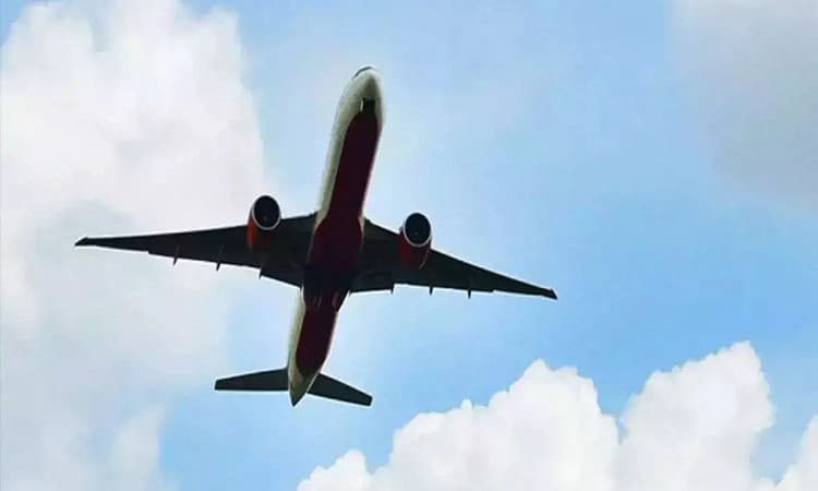 Fake visa: ನಕಲಿ ವೀಸಾದಲ್ಲಿ ವಿದೇಶಕ್ಕೆ ಹಾರಲು ಯತ್ನಿಸಿ ಸಿಕ್ಕಿಬಿದ್ದ ವ್ಯಕ್ತಿ