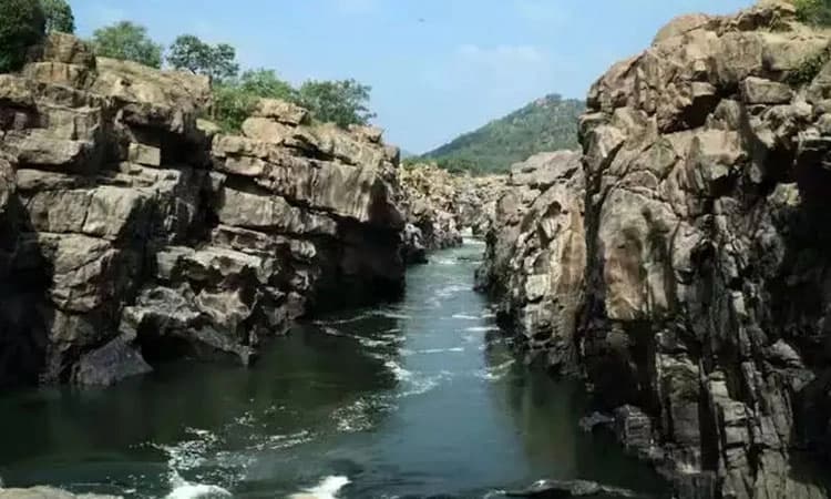 Mekedatu: ಕಾವೇರಿ ಸಂಕಷ್ಟಕ್ಕೆ ಮೇಕೆದಾಟು ಅಣೆಕಟ್ಟು ಪರಿಹಾರ