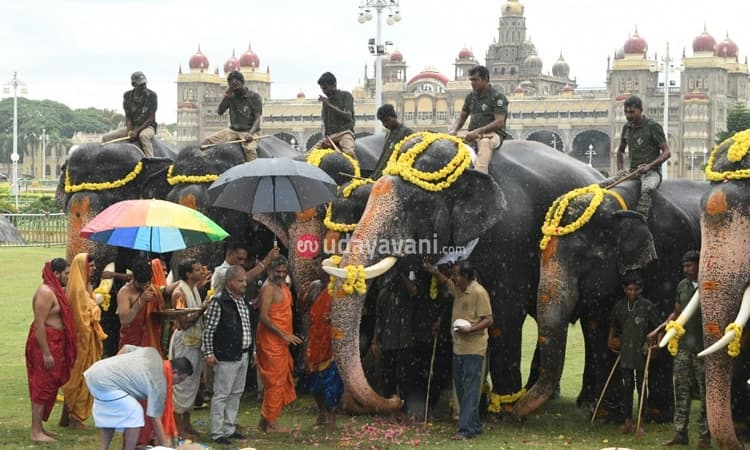 Mysore: ಮೈಸೂರಿನಲ್ಲಿ ದಸರಾ ಗಜಪಡೆಗೆ ಪೂಜೆ ಸಲ್ಲಿಸಿದ ಪೇಜಾವರ ಶ್ರೀ