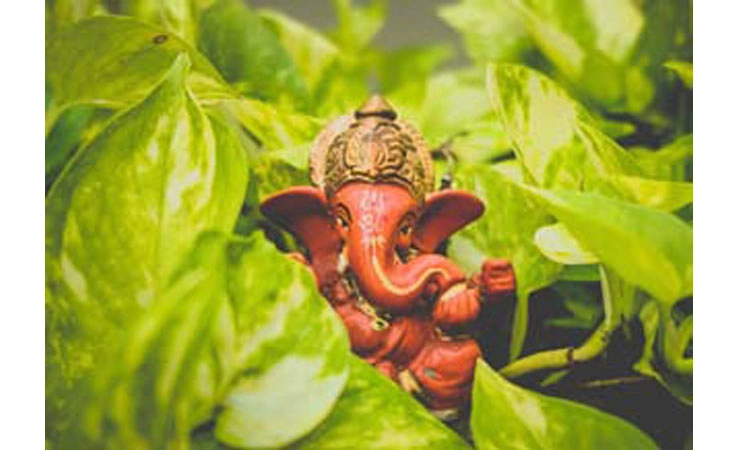 Ganesh Chathurthi: ಆಡಂಬರಕ್ಕಿಂತ  ಪರಿಸರ ಆರೋಗ್ಯ ಮುಖ್ಯ