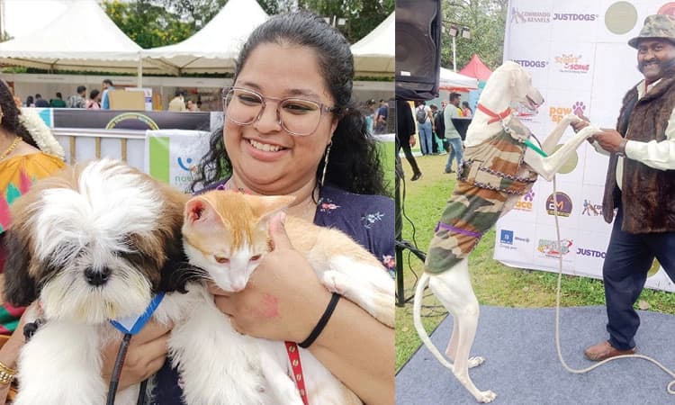 Pet Show: ಸಿಲಿಕಾನ್‌ ಸಿಟಿಯಲ್ಲಿ ಲಲನೆಯರಂತೆ ಹೆಜ್ಜೆ ಹಾಕಿದ ಶ್ವಾನಗಳು