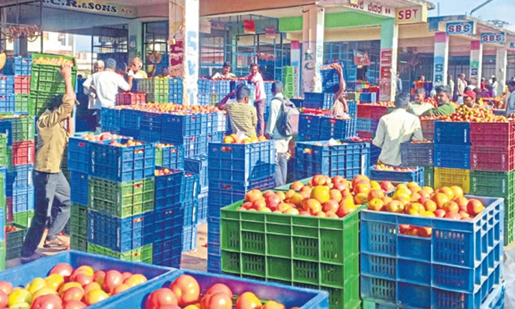 Tomato price: 15 ಕೆ.ಜಿ. ಟೊಮೇಟೊ ದರ 80 ರೂ!