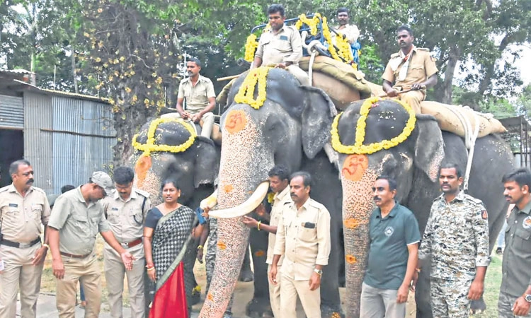 Dasara: 600 ಕೆ.ಜಿ.ಹೊತ್ತು ತಾಲೀಮು ಆರಂಭಿಸಿದ ಕ್ಯಾಪ್ಟನ್‌