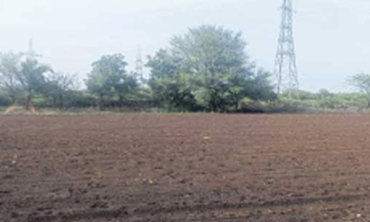 Bagalkot: ಜಿಲ್ಲೆಯಲ್ಲಿ 125 ವರ್ಷಗಳಲ್ಲೇ ಅತಿ ದೊಡ್ಡ ಬರ!