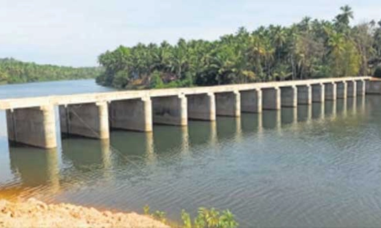 Vandse Village: ಬಗೆಹರಿಯದ ವಂಡ್ಸೆ ಗ್ರಾಮಸ್ಥರ ಉಪ್ಪು ನೀರಿನ ಸಮಸ್ಯೆ