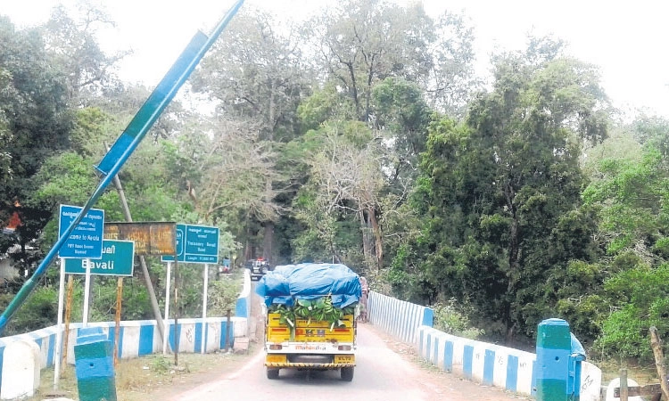 Nipah virus Fear:ನಿಫಾಗೆ ಇಬ್ಬರು ಬಲಿ: ಗಡಿಭಾಗದಲ್ಲಿ ಜನರಲ್ಲಿ ಆತಂಕ