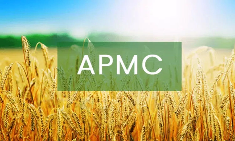 APMC: ಇನ್ನೂ ನಡೆದಿಲ್ಲ ಚುನಾವಣೆ- ಅವಧಿ ಮುಗಿದು ವರ್ಷ ಕಳೆದರೂ