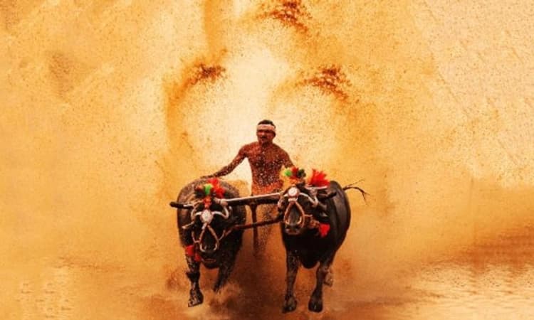 Kambala ಸೆ. 18: ಜಿಲ್ಲಾ ಕಂಬಳ ಸಮಿತಿ ಸಭೆ; ವೇಳಾಪಟ್ಟಿ ಅಂತಿಮ