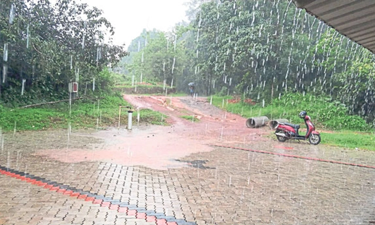 Rains; ಸುಳ್ಯ, ಕಡಬದಲ್ಲಿ ಉತ್ತಮ ಮಳೆ