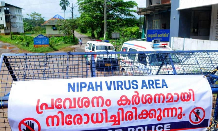Kerala Nipah Case: ಕೇರಳ 7 ಗ್ರಾಮಗಳು ಕಂಟೈನ್‌ಮೆಂಟ್ ವಲಯಕ್ಕೆ, ಶಾಲೆಗಳಿಗೆ ರಜೆ