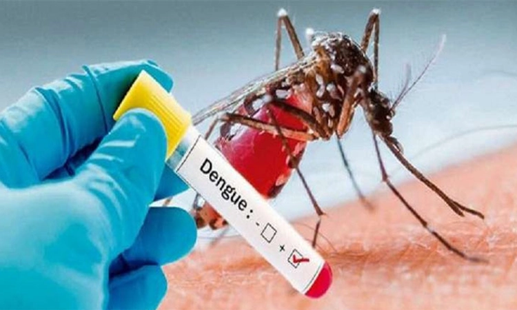 Dengue: ವಿಟ್ಲದ ಯುವತಿ ಮೃತ್ಯು