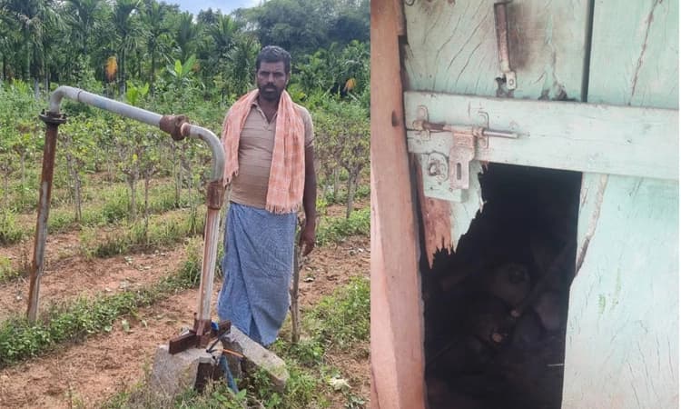 Koratagere 25ಕ್ಕೂ ಹೆಚ್ಚು ಕಡೆ ಸರಣಿ ಕೇಬಲ್‌ ಕಳವು; ರೈತರ ದೂರಿಗೆ ಸ್ಪಂದಿಸದ ಪೊಲೀಸರು