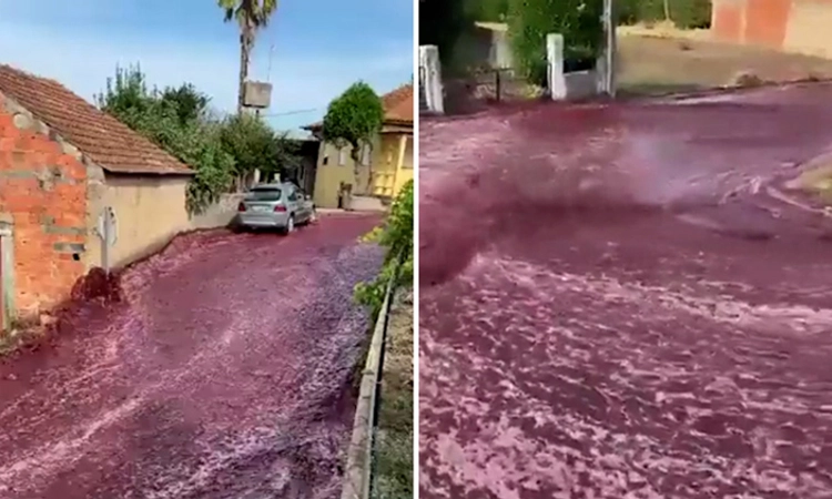 Red Wine: ರಸ್ತೆಯಲ್ಲಿ ಹೊಳೆಯಂತೆ ಹರಿದ ರೆಡ್ ವೈನ್… ವಿಡಿಯೋ ವೈರಲ್