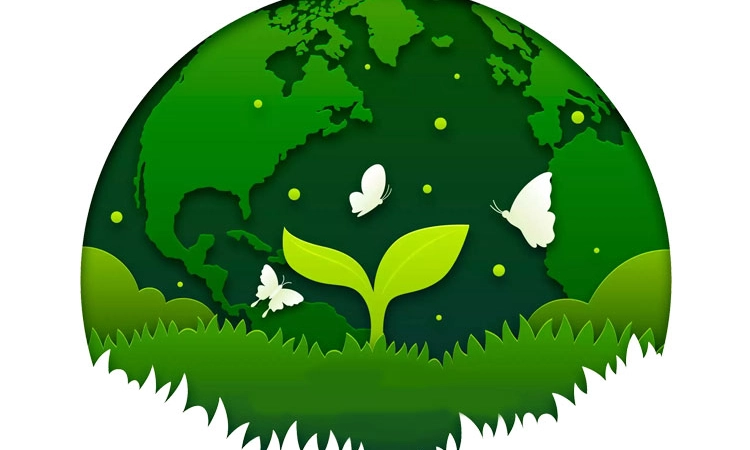 Environmental ನಮ್ಮೆಲ್ಲರ ಪರಿಸರ ಕಾಳಜಿ ಜಾಗೃತಗೊಳ್ಳಲು ಇದು ಸಕಾಲ