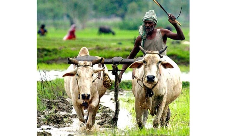 UV Fusion: ರೈತರ ಬದುಕನ್ನು ಅರಿತು ಗೌರವಿಸಿ