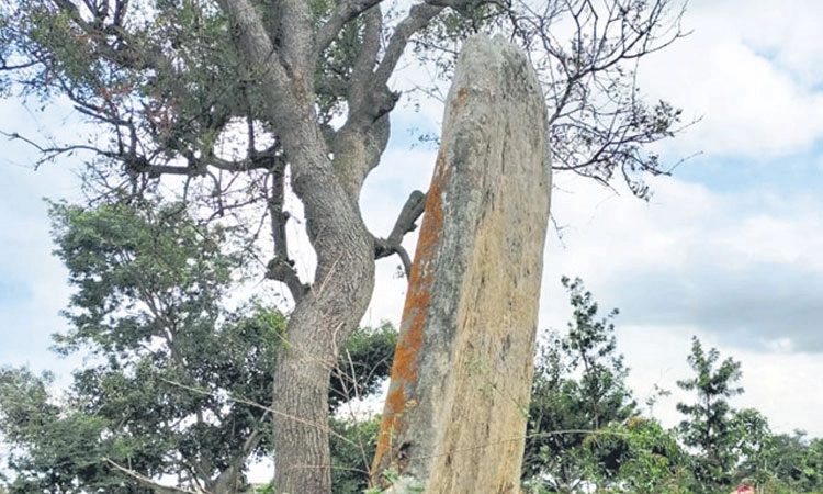 Melukote: ಮೇಲುಕೋಟೆಯಲ್ಲಿ 3500 ವರ್ಷದ ನಿಲುಸುಗಲ್ಲು ಪತ್ತೆ