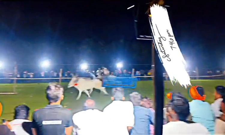 Chikkamagaluru: ಎತ್ತಿನ‌ಗಾಡಿನ ಸ್ಪರ್ಧೆಯಲ್ಲಿ ನೊಗ ಬಡಿದು ಯುವಕ ಸ್ಥಳದಲ್ಲೇ ಮೃತ್ಯು