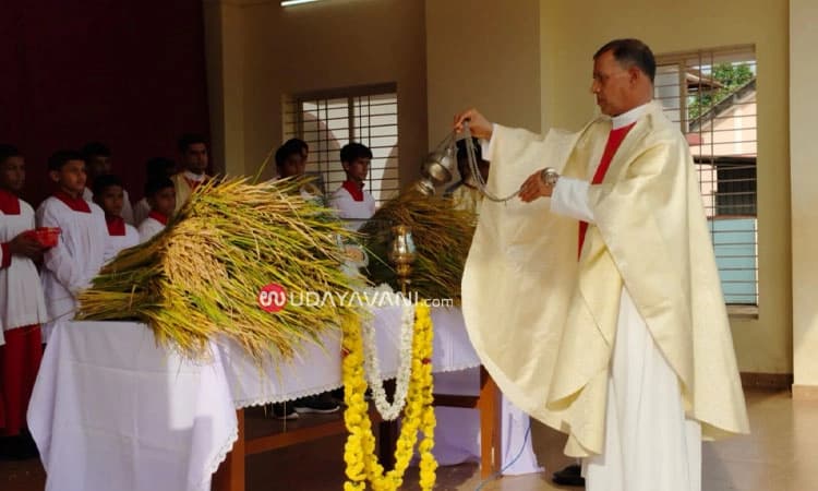 Shirva: ಆರೋಗ್ಯ ಮಾತಾ ದೇವಾಲಯದಲ್ಲಿ ಸಂಭ್ರಮದ ತೆನೆ ಹಬ್ಬ