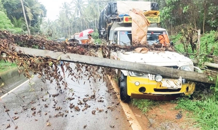 Sullia ವಿದ್ಯುತ್‌ ಕಂಬಕ್ಕೆ ಪಿಕಪ್‌ ಢಿಕ್ಕಿ: ತಪ್ಪಿದ ಅನಾಹುತ