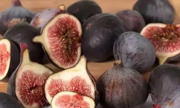 Fig Fruit: ಆದಾಯ ಹೆಚ್ಚಿಸಿಕೊಂಡ ಅಂಜೂರ ಬೆಳೆಗಾರ; ಡ್ರೈ ಫ್ರೂಟ್‌ನಿಂದ ಆದಾಯ ವೃದ್ಧಿ