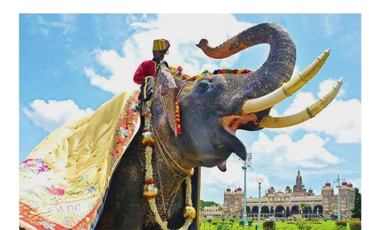 Mysore: ಇಂದು ಸಂಜೆ ಗಜಪಡೆ ಅರಮನೆ ಪ್ರವೇಶ