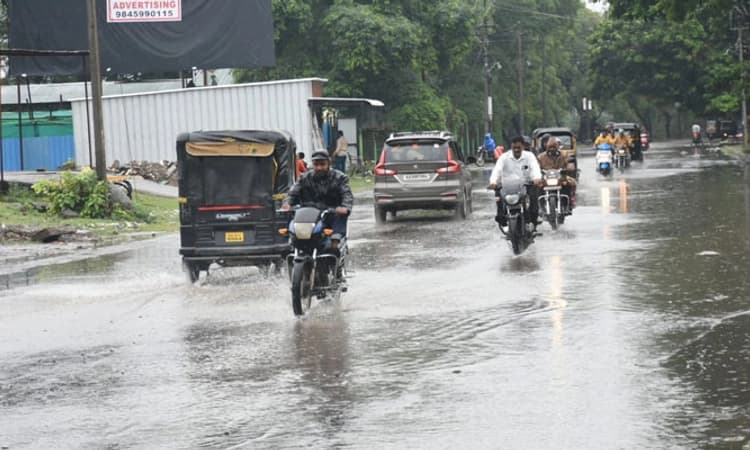Kalaburagi ಜಿಲ್ಲೆಯಲ್ಲಿ ಧಾರಾಕಾರ ಮಳೆ; ಸಂತಸಗೊಂಡ ರೈತರು