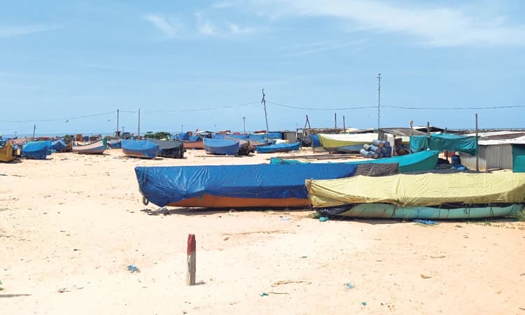 Climate Change: ಮಳೆಯಿಲ್ಲ, ಬಿಸಿಲಿನ ಬೇಗೆ; ಮೀನಿಗೂ ಬರ