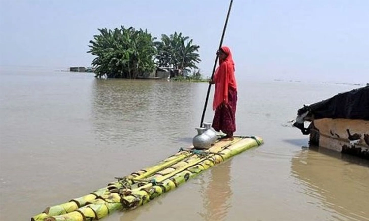 Assam flood: ಈಶಾನ್ಯ ರಾಜ್ಯದಲ್ಲಿ ನೆರೆ; 2.42 ಲಕ್ಷಕ್ಕೂ ಹೆಚ್ಚು ಜನರು ಸಂತ್ರಸ್ತರು